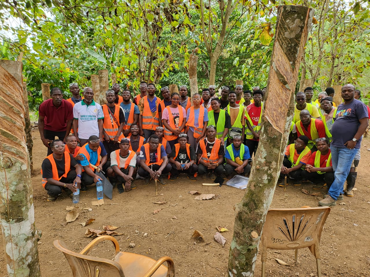 AGRIFORLAND — Agriculture, Environnement et Expertise en Côte d'Ivoire